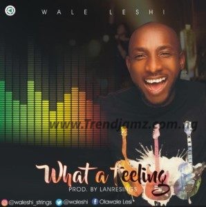 what a feeling cover