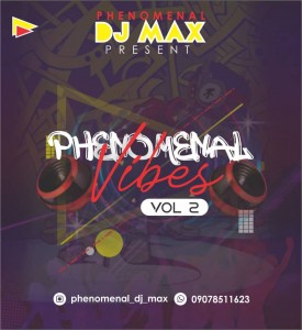 DJ Max - Phenomenal Vibes Mix (Vol 2)