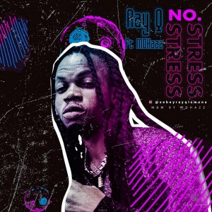 Ray Q Ft. Mdhazz – No Stress