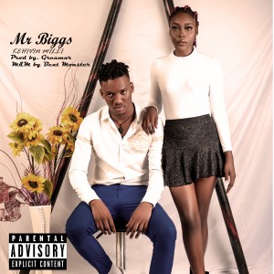 Kehvin Milli – Mr Biggs