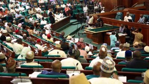 Reps pass 2022 budget of N17.126trn